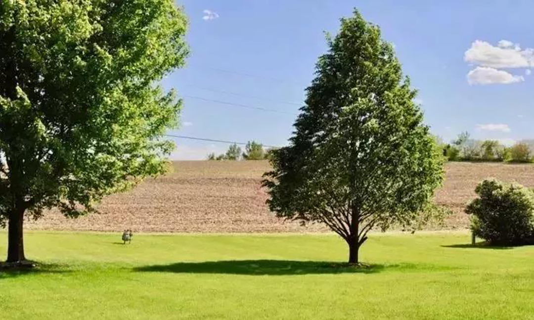 植樹節(jié)|守護綠色家園的秘密武器！