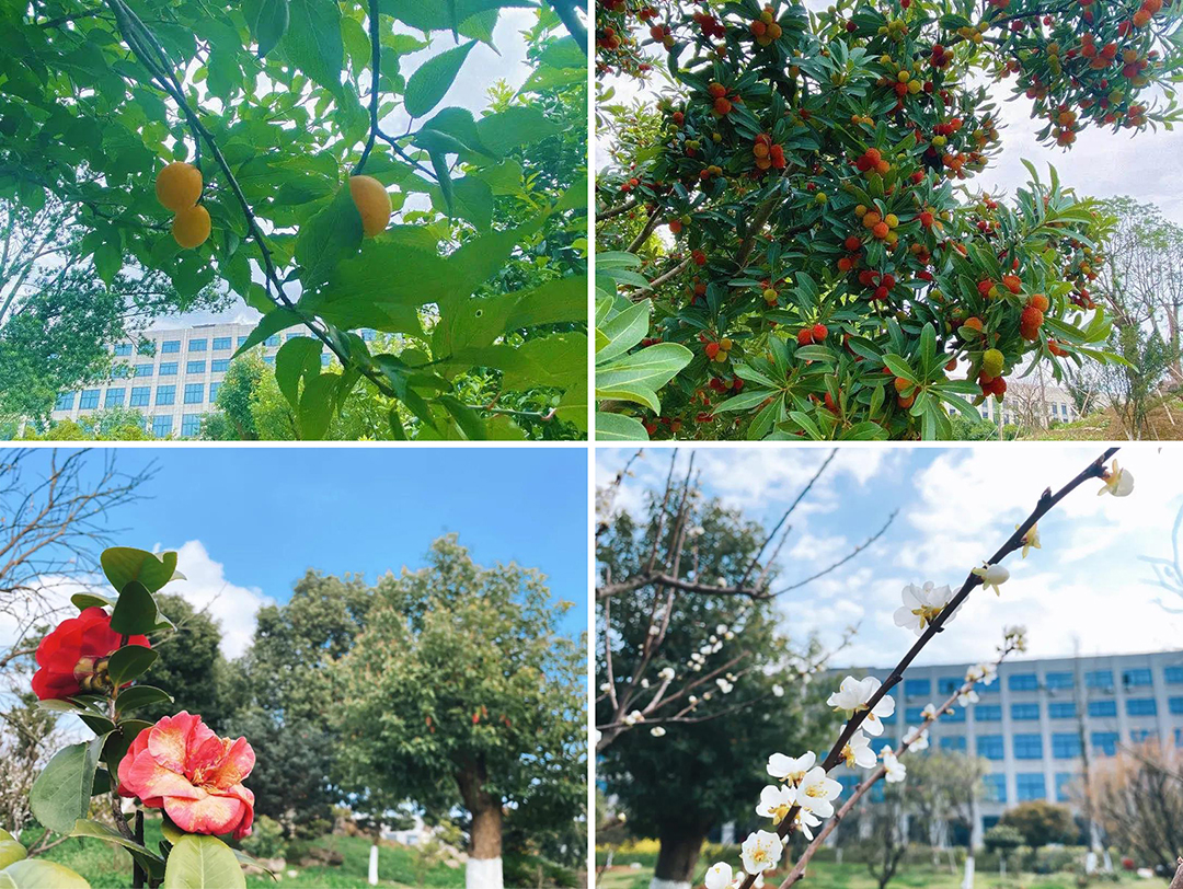 植樹節(jié)|守護綠色家園的秘密武器！