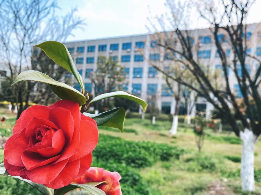 風景這邊獨好!東大環境美景一覽,請查收